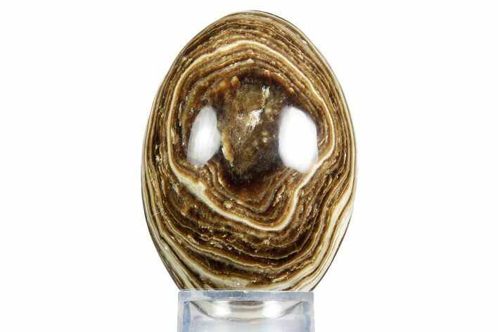 Swirling Polished Chocolate Calcite Egg - Pakistan #350175
